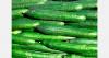 Belarus adds cucumbers and tomatoes to state off-season supply list