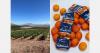 Weather is having an impact on the citrus category