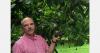 Mexican avocado industry struggles with Flor Loca size curve