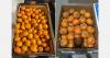 "Peru's late-season mandarin volumes down 50%, while colour remains a challenge"