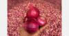 Indian onion exporters see UK FTA opportunity, but longer transit times test competitiveness