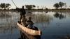 Husband watched helplessly as new bride killed by hippo who 'bit out her heart'