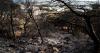 Tunisia records 900 fires in 72-hour window during intense heatwave