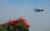 Out-of-control wildfires ravaging Spain, France
