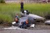 Massachusetts crews work to move 30-foot whale found stuck under a private dock
