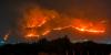 Arsonists tie burning rags to stray cats to spark devastating wildfires in Italy