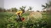 Africa Is Sitting on an Agricultural Goldmine but Experts Say Poor Investment Is Holding It Back