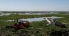 Lake Tana Nears Ecological Tipping Point as Water Hyacinth Spreads