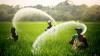 Sri Lanka Lost US$6.87 Million Over Substandard Chinese Fertiliser Imports: Deputy Minister