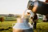 Sri Lanka Produces Only 43% of Daily Milk Requirement: Deputy Minister