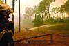 Over 80,000 flee forest infernos in France, Spain