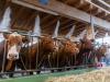 Drinking water not at risk yet but Swiss agriculture under strain