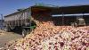 ECOWAS Ends Ghana-Nigeria Onion Trade Dispute, Pushes Long-Term Reforms