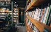 Literature's timeless warning against politics of violence