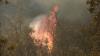UK tourists urged not to cancel travel plans due to wildfires in France