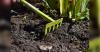 Ask an Expert – Gardening Counts as Exercise: Protect Your Body While You Work