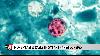 U.S. measles cases surpass last year’s total with months remaining