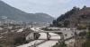 At least 35 dead and 30 injured in Syria bus collision