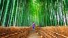 Top 10 Best Cities for Slow Travel in the World: Japanese cities dominate, Taiwan closes list