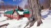 At 62, His Woods Became a Maple Syrup Business. What the Income Does to His Social Security.