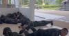 Five Thai officers killed, 6 civilians injured in attack