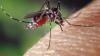 Holiday warning as deadly mosquito virus leaves several people ill & two Spanish tourist hotspots on red alert
