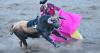 In Artesia, a bloodless bullfight keeps a Portuguese tradition alive