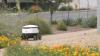 Arizona woman sues food delivery robot company for injuries