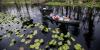 Georgia’s Okefenokee Swamp among new additions to UNESCO’s World Heritage List