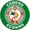 New WAHO Chief Takes Helm as ECOWAS Seeks Stronger Regional Health Cooperation