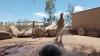 Phoenix Zoo taking steps to keep animals cool as temperatures climb into triple digits