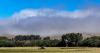 Afternoon winds will continue, temperatures remain above normal | Central Coast Weather Report