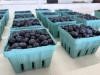 Pennsylvania launches $10M grant program to help fruit growers recover from April freeze