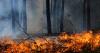 Record-breaking wildfires burned nearly 100,000 hectares in France, interior minister says