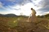 Why monks outlive other men: Inside a 30-year study of European monasteries