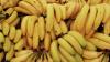 Indian banana exports face spoilage as Strait of Hormuz closure extends shipping time