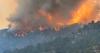 Destruction in Beaver has Utah’s political leaders pushing forest management