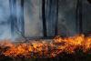 World CBS News Wildfires in France and Spain force more than 267,000 to flee