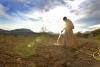 Why Do Monks and Nuns Live Longer? New 30-Year Study Offers Clues to Healthy Aging