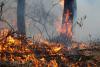 Governments look the other way as thousands face nightmare fires