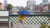 Ireland weather: Rainfall map shows wettest counties over next 10 days as 'unsettled' spell forecast