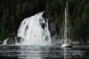 Watch, learn and wonder while sailing B.C.’s Inside Passage