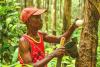 In Liberia, there is lots of rubber production, but no new tires