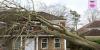 Home and travel claims: are insurers getting any better at paying claims?