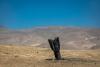 Iran said constantly honing ballistic missiles to better avoid air defenses