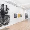 Vision Art Platform presents ‘Botanicals’ in London