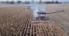 This Week in Agribusiness, July 25, 2026