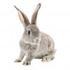 Filthy BioStone Animal Health Charged by U.S. Regulators for Breaking Federal Laws; Watchdog Urges Maximum Penalty Against ‘Criminal Laboratory’ 