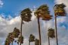 WEATHER: Destructive winds and rain to lash parts of SA