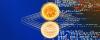 Beyond Stablecoins: Powering Global Trade